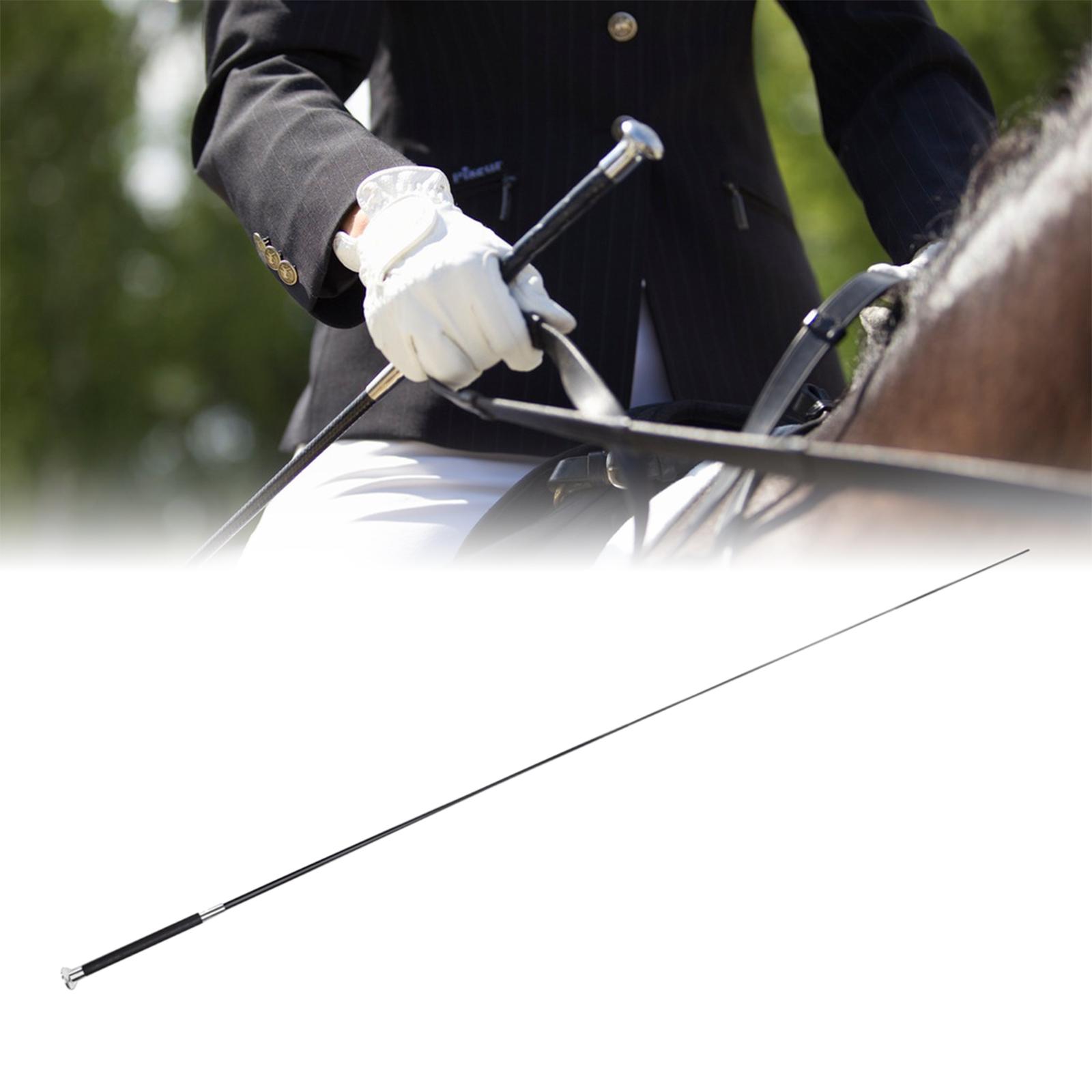 Frusta Lunga in Metallo e Nylo - Riding Crop Dressage recensione e prezzo