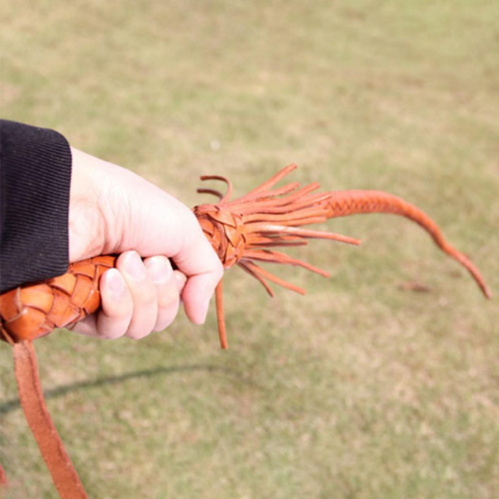 Frusta da Equitazione in Pelle - Riding Crop Dressage recensione e prezzo