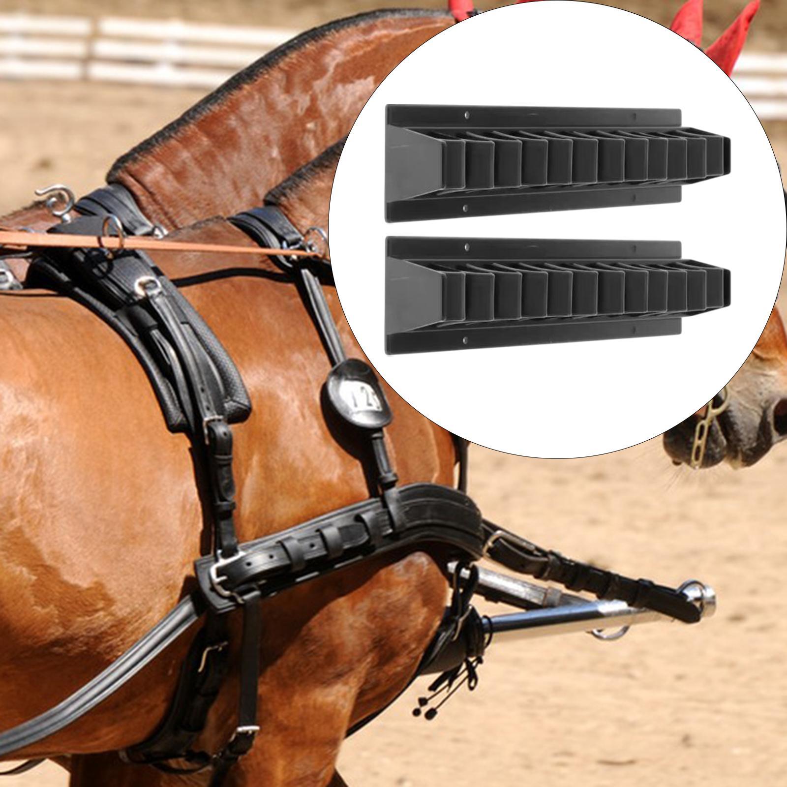 Supporti per Fruste da Cavalle - Riding Crop Dressage recensione e prezzo