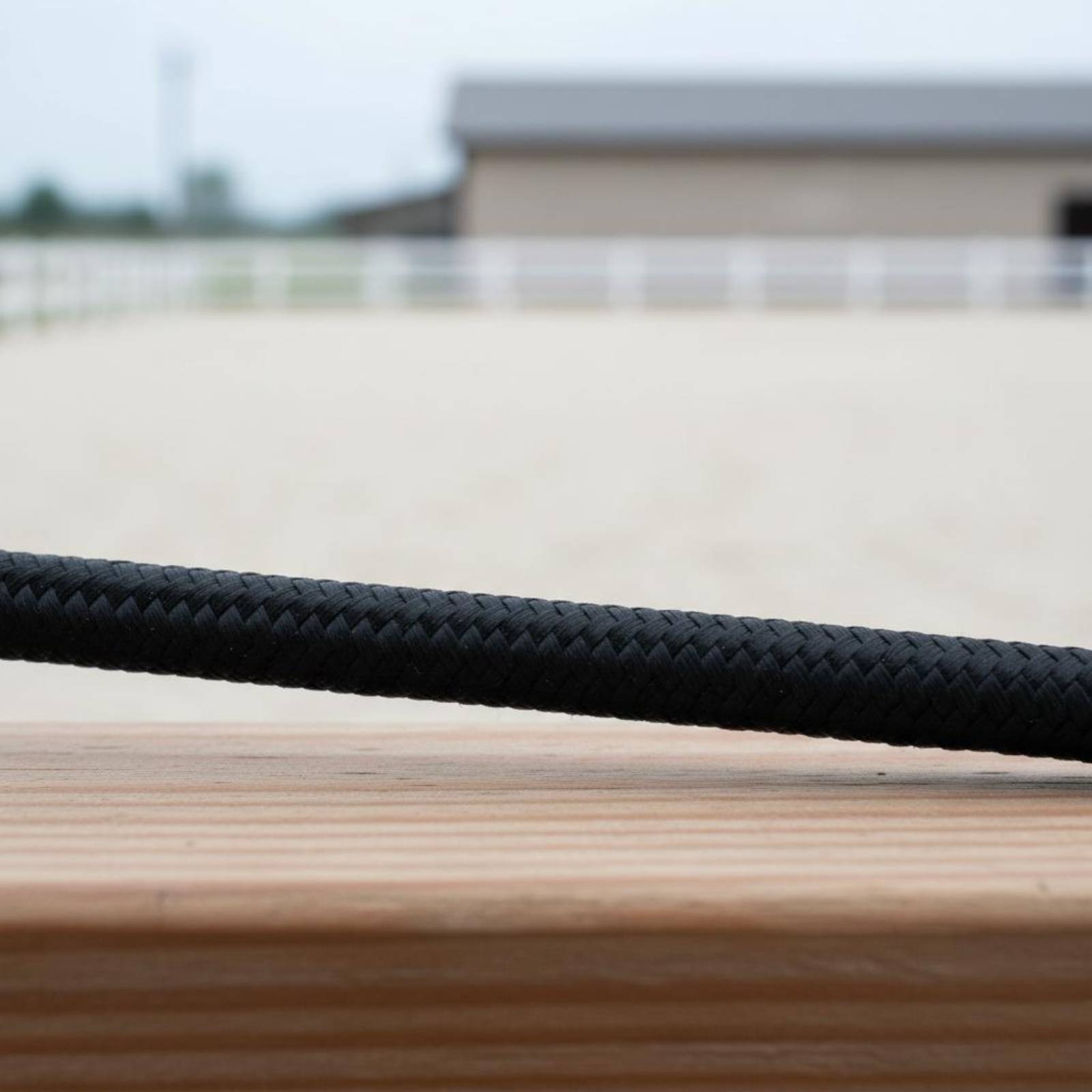 Set di 3 Fruste per Addestrame - Riding Crop Dressage recensione e prezzo